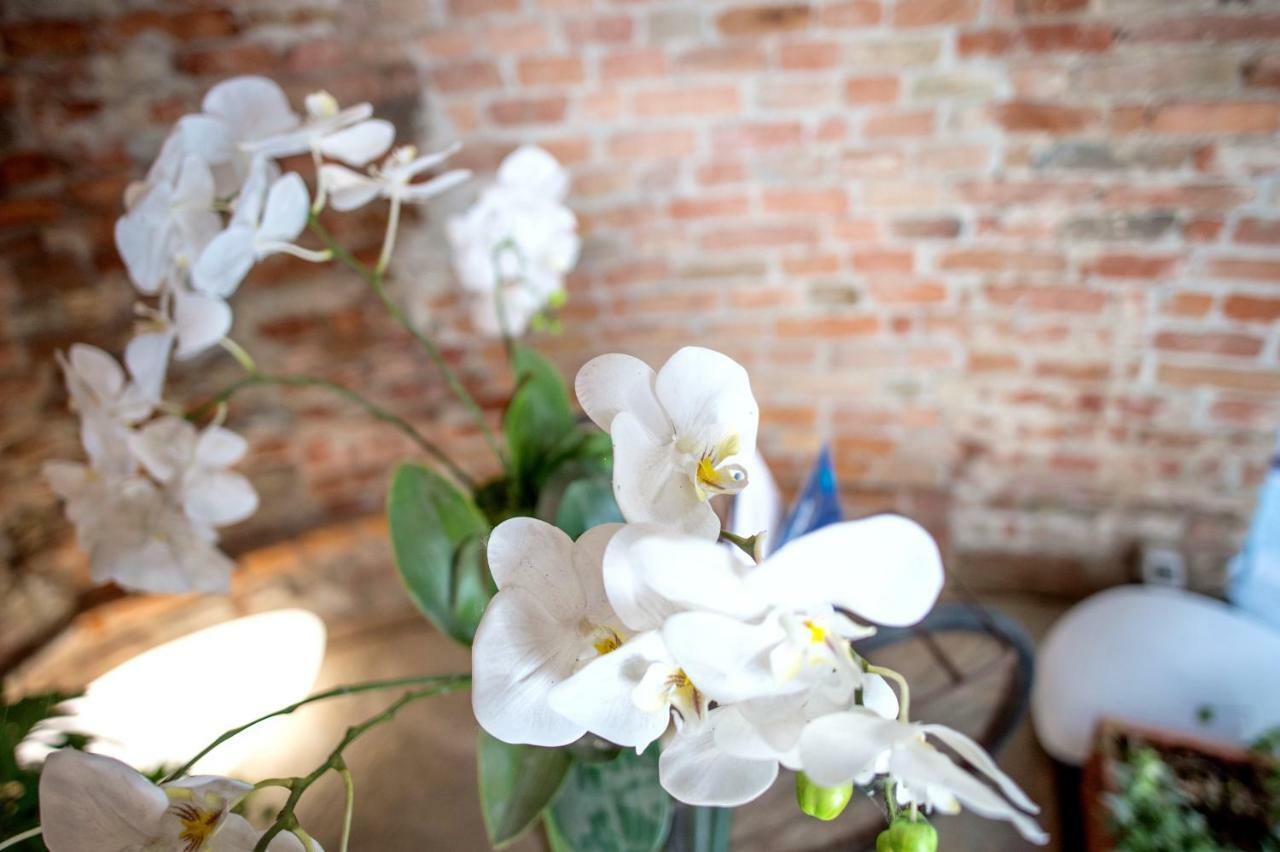 La Canonica - Charming Self-Catering Apartments In Nizza Monferrato Ngoại thất bức ảnh